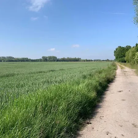 Apartment In With Sea Views